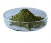pharmaceutical and health product moringa leaf pow