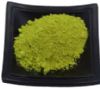 moringa extractions factory supply